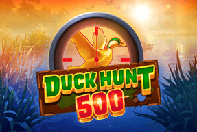 duckhunt500