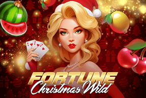 fortunechristmaswild