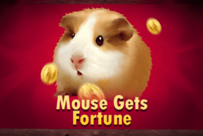 mousegetsfortune