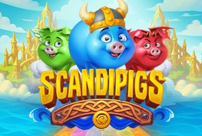 scandipigs