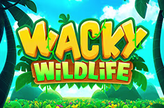 wackywildlife